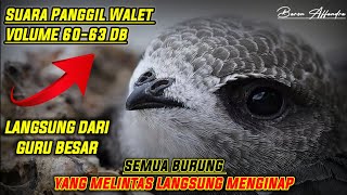 Download lagu SP | SUARA PANGGIL WALET langsung Dari GURU BESAR | Link Dideskripsi mp3