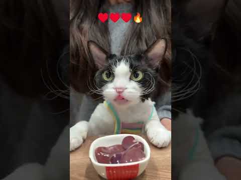 ۲۲ اوت ۲۰۲۵