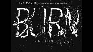 Trey Palms feat. Ellie Goulding -- Burn (Remix)