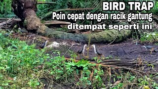 Download lagu Mikat Ruak ruak dengan racik gantung ternyata doble poin BIRDTRAP #birdtrap #racikgantung #ruakruak mp3 Download lagu Mikat Ruak ruak dengan racik gantung ternyata doble poin BIRDTRAP #birdtrap #racikgantung #ruakruak mp3