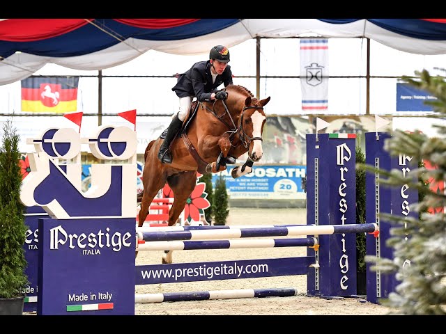 The half-brother of this embryo is the CSI 1.55m approved Stallion Madness with rider Hannes Ahlmann.