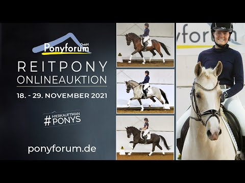 4j. Stute v. Dating AT NRW