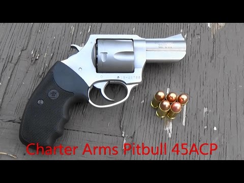 Charter Arms Bulldog 44special and Premium Ammo... Waste of Money? #guns