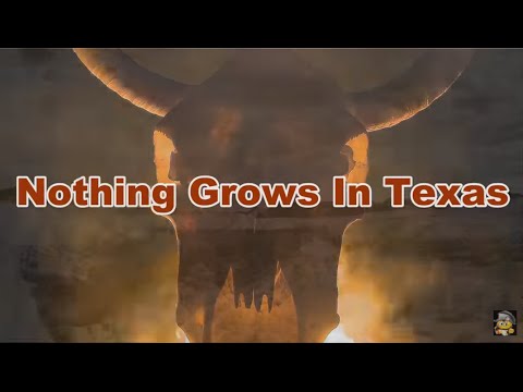 Garry Gray & Sacred Cowboys - Nothing Grows In Texas