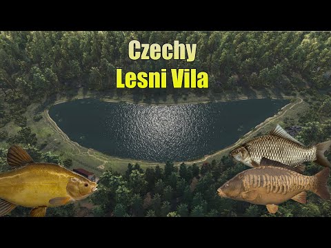Fishing Planet #4 Łowisko Lesni Villa Czechy Gdzie łowić poradnik