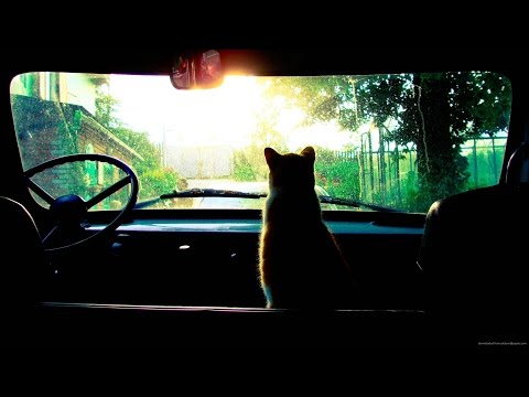 PACIENCIA - BOOMBAP INSTRUMENTAL RAP | USO LIBRE