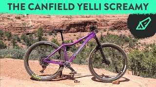 Canfield Yelli Screamy - A Modern Remake of an Old Classic - The 2022 Yelli Screamy