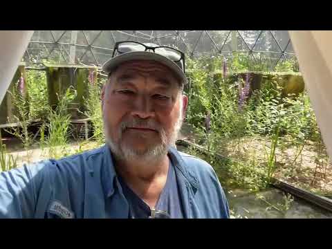 John D.  Liu in the Eco Oasis in 's-Hertogenbosch