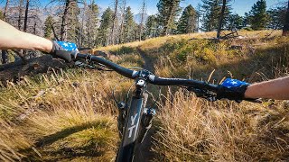 Is this DH worth all the PEDALING?! // Curly's Trail, Sun Valley, ID Mountain Biking