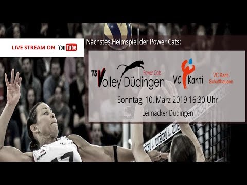 NLA Volleyball: TS Volley Düdingen -