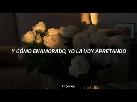 Los Palmeras - La Suavecita ft Soledad (letra)