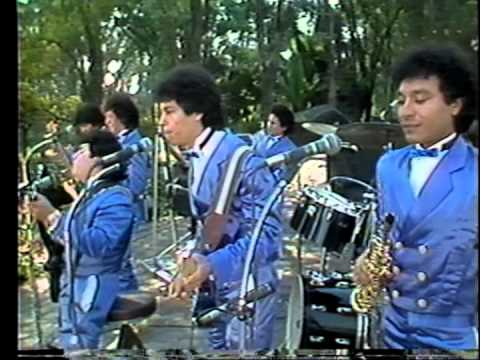 los yonics un dolor video oficial