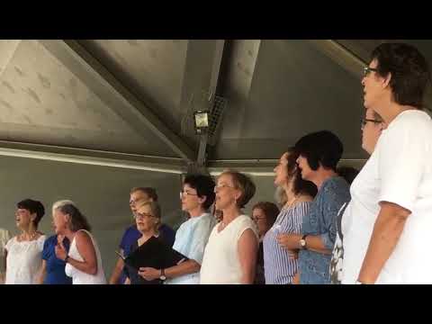 Viva la Vida gesungen vom Frauenchor TonArt Nollingen