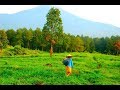 ИНДОНЕЗИЯ ОСТРОВ ЯВА. ЗАЧЕМ СЮДА ЕДУТ ТУРИСТЫ? Отдых в Джокьякарте влог ИНДОНЕЗИЯ ОСТРОВ ЯВА. ЗАЧЕМ СЮДА ЕДУТ ТУРИСТЫ? Отдых в Джокьякарте влог