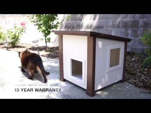 the Albany Outdoor and Feral Cat House by New Age Pet