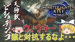【MHR】ぼっちハンターがいくモンハンライズ！【ゆっくり実況】part14