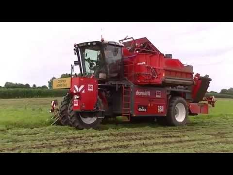 Dewulf ZBII - 2-row self-propelled top-lifting harvester with bunker