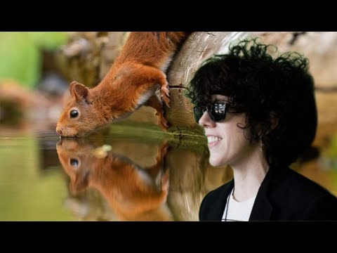 20 minutes best hits by LP Laura PERGOLIZZI @iamlpofficial