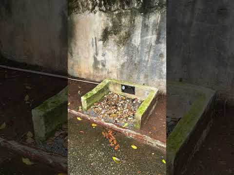 O túmulo do Spike, o guardião do cemitério da Consolação em SP #cemiterio #tumulo