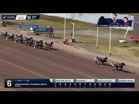 Glen Kosmos Memorial 4yo 2024 - Expo Wise AS & Allesandro Gocciadoro 1.12,4 2120m