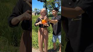 Download lagu Accompany Miss Putri while playing kites in the comments column, I want to go home, haha mp3 Download lagu Accompany Miss Putri while playing kites in the comments column, I want to go home, haha mp3