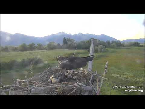 07/20/2019 Charlotte Stirs Baby