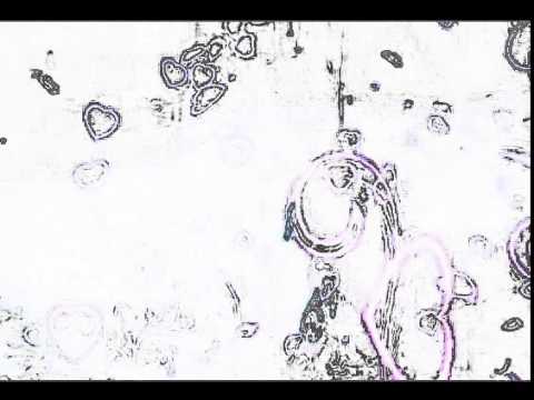 helloVenus Do You Want Some Tea (Lyrics Video)