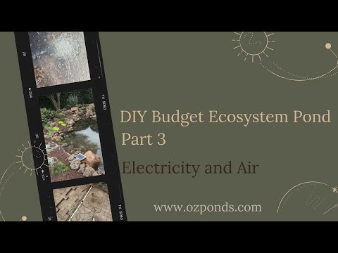 Diy Budget ecosystem pond part 3- Adding electricity and air to the pond