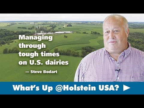 What's Up at Holstein USA:  Managing through tough times on U.S. dairies -  Steve Bodart