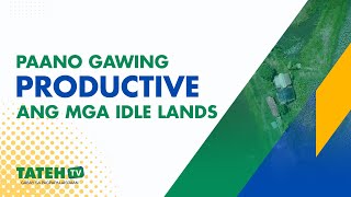 Paano gawing productive ang mga idle lands | TatehTV Episode 147