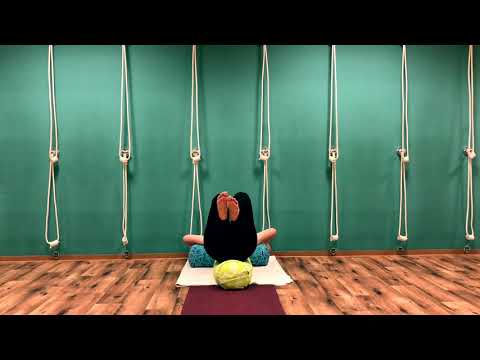 Wie komme ich in einen Schulterstand, bei dem der Rücken nicht gestützt wird?