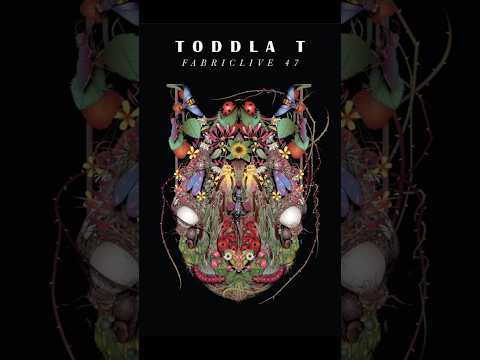 FabricLive 47 – Toddla T. Sheffield bass chaos. #FabricLive #ToddlaT