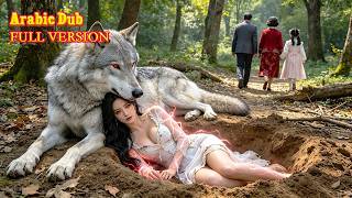 Het arme meisje werd door haar familie levend begraven in de wildernis, maar de wolvenkoning beschermde haar en wekte haar kracht! Een zeer ontroerend einde! 💞