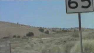 Dead Kennedy&#39;s Buzzbomb