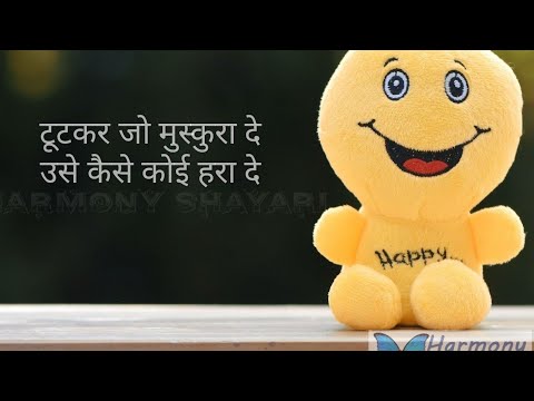 SkReal shorts  is live