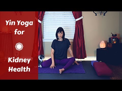 Yin Yoga for Kidney & Bladder Health | Yin Yoga for Legs, Back & Hips {35 mins}