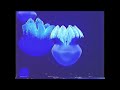 18 Minutes Of Super Chill Playboi Carti Songs By Adrian 528hz