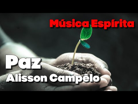 Paz - Alisson Campêlo