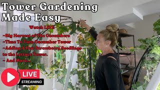 📱 Tower Gardening Made Easy LIVE CAM #towergarden #hydroponicgardening #garden #farm #aeroponic