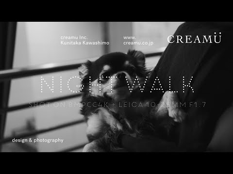 #031 Night Walk | Monochrome | BMPCC4K | Leica 10-25mm f1.7 | Cinematic Vlog