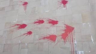 Mestre, la protesta degli studenti: manifestazione e lancio di vernice rossa
