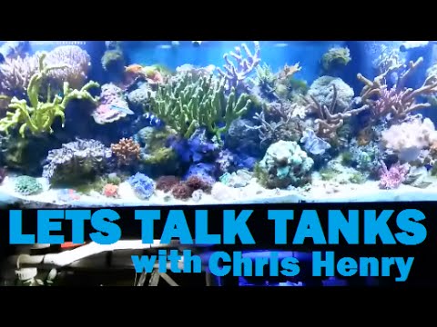 125 Gallon Reef Tank System Walk Through With Chris Henry (Lets Talk Tanks)