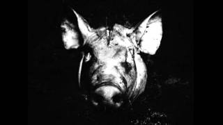 Slaughterhouse Offshore