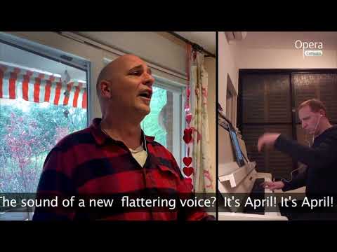 Opera Capsules II - Juan Jesus Rodriguez "Aprile"