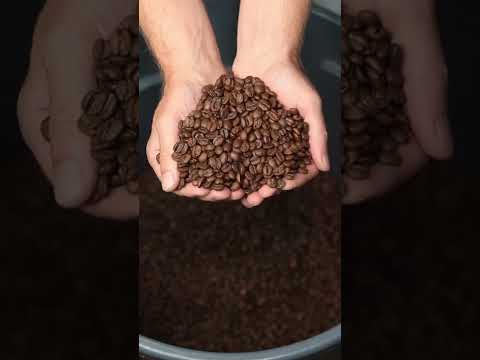 Transformando grãos de café verdes em grãos de café marrons