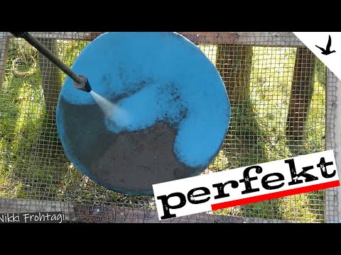 Teichfilter reinigen✅Tipps & Tricks zu kristallklarem Wasser.