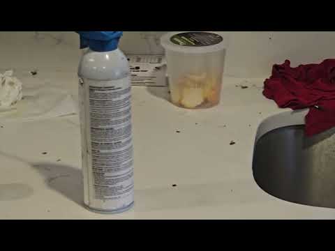 A Ton of Cockroaches Found in Home in...