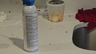 Watch video: A Ton of Cockroaches Found in Home in Bridgewater, NJ