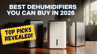8 Best Dehumidifiers You Can Buy in 2026 | Powerful & Quiet Moisture Control