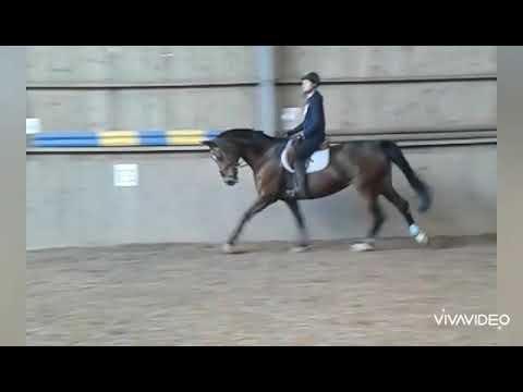 Hoppis dressyrar 27.4.19